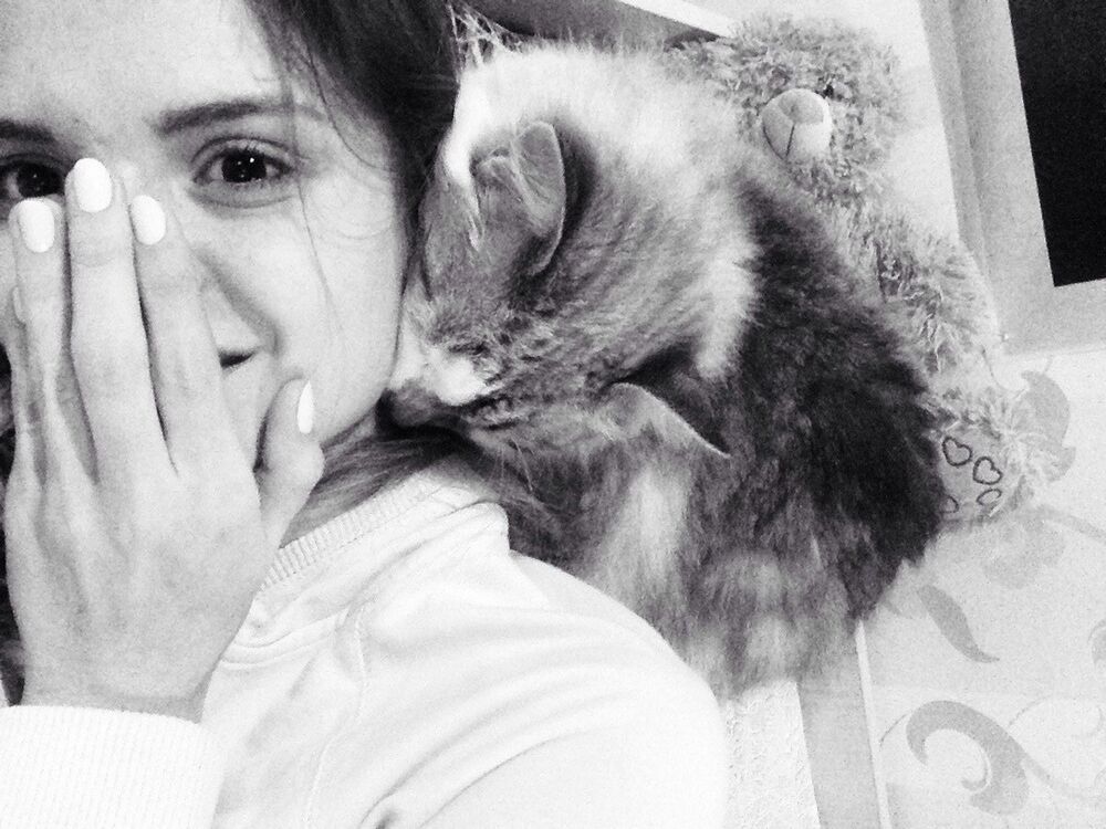 ���������� ������, ���� ������� ����, 28 ���, ������������ ��� ������, ���������