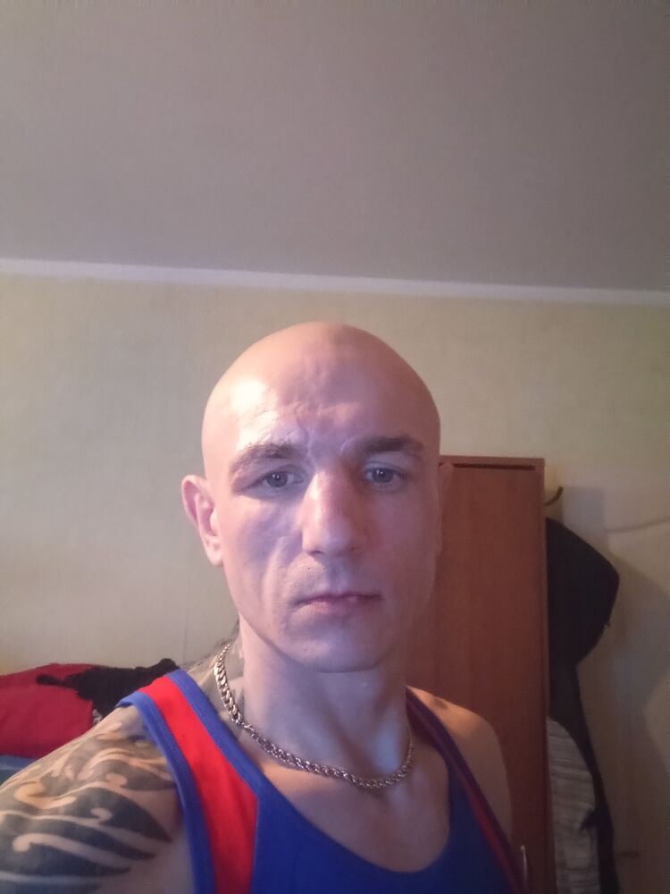  33153273  , 39 ,    