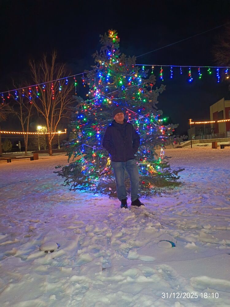 ���� 55811103 ������� ���������, 43 ����, ���� ���������� � ������������