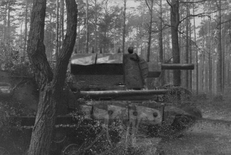 ���� 23836173 ����� ADBOKAT, 23 ����, ���� ���������� � ��������