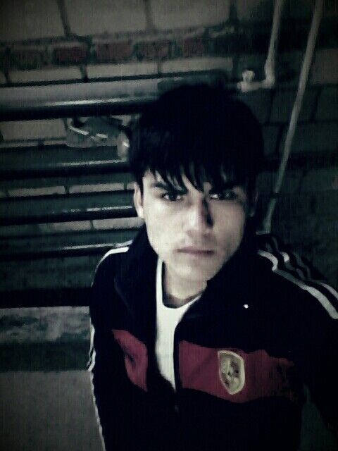 ���� 8133613 ������� ������, 31 ���, ���� ���������� � �������