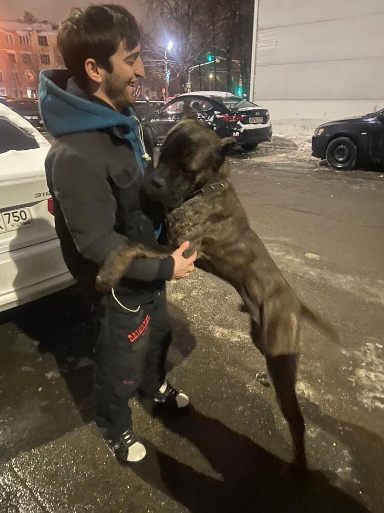 ���� 31722333 ������� Alex, 28 ���, ���� ���������� � ��������