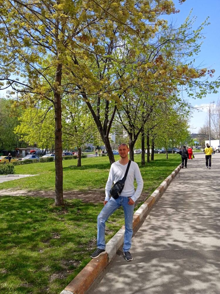  33389443  , 41 ,    -