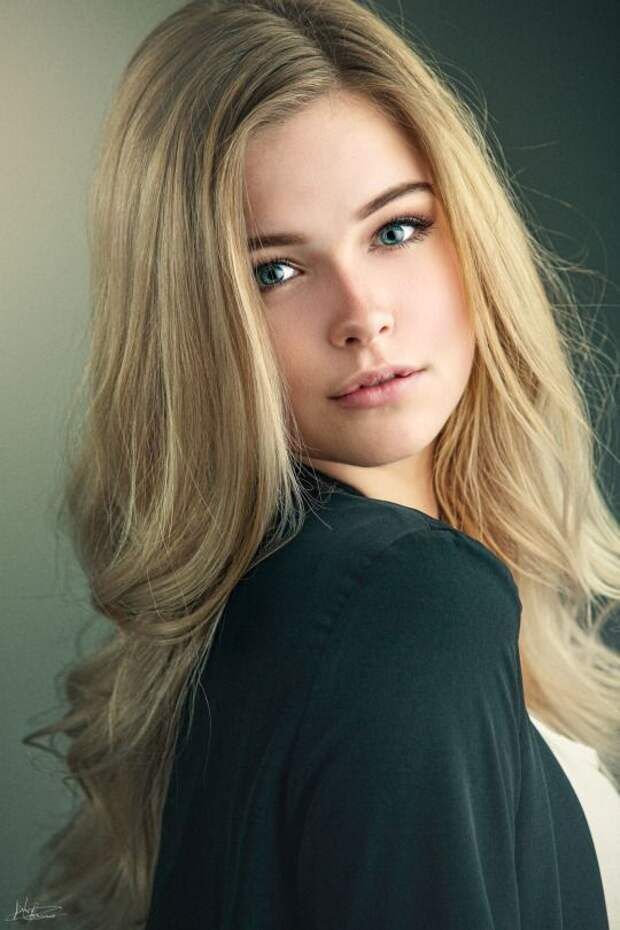 ���� 25943723 ������� ���������, 32 ����, ���� ���������� � ����