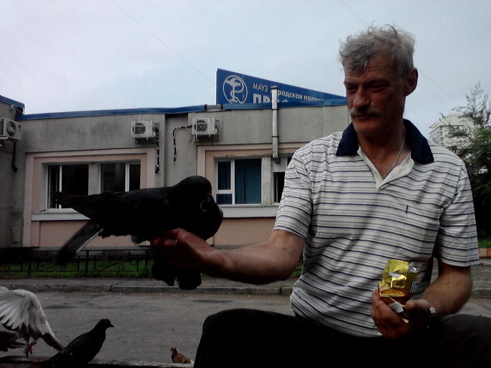  --,   Velder, 59 ,   