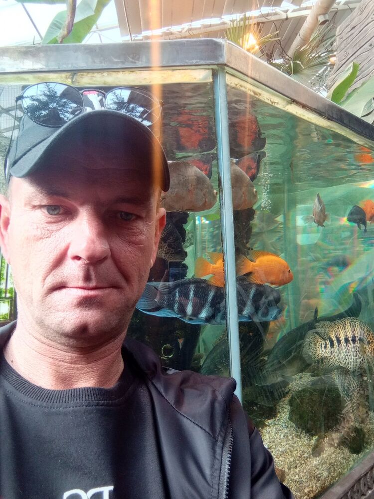 ���� 40619873 ������� ������, 46 ���, ���� ���������� � ����������