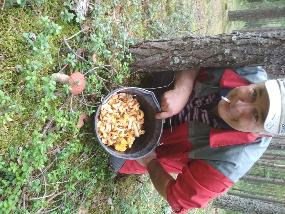 ���������� �����, ���� ������� �������, 53 ����, ������������ ��� ������, ����� � ���������, c�������� ���������