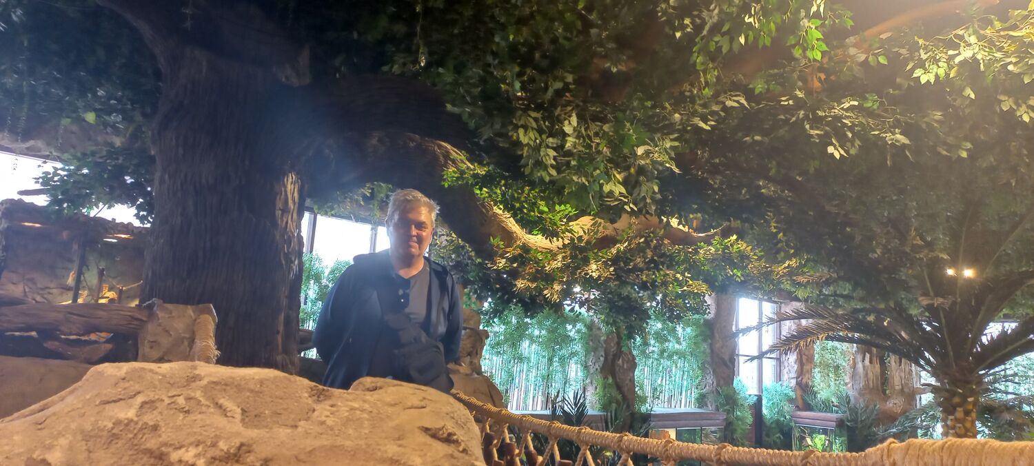 ���������� ��������, ���� ������� ���, 51 ���, ������������ ��� ����� � ���������, c�������� ���������