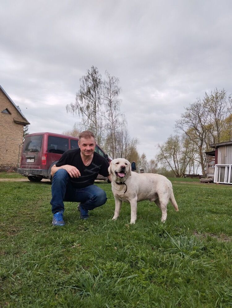 ���� 56253393 ������� ����, 49 ���, ���� ���������� � ������