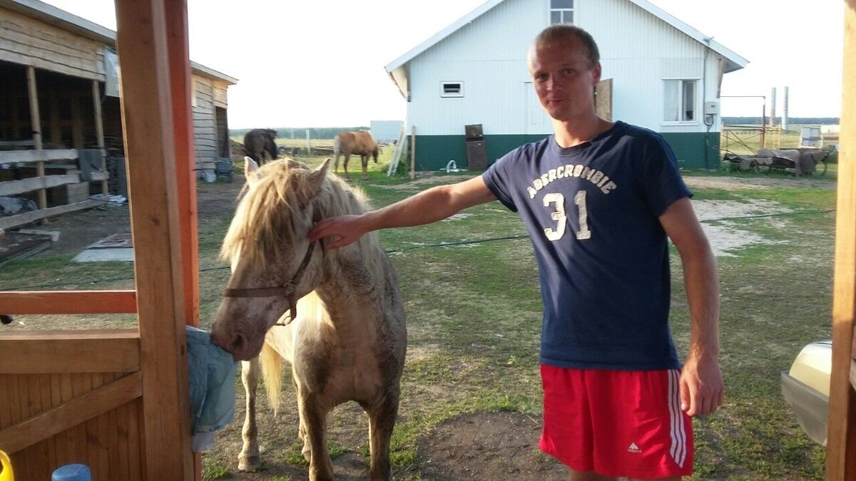 ���� 8194503 ������� ����, 32 ����, ���� ���������� � ������