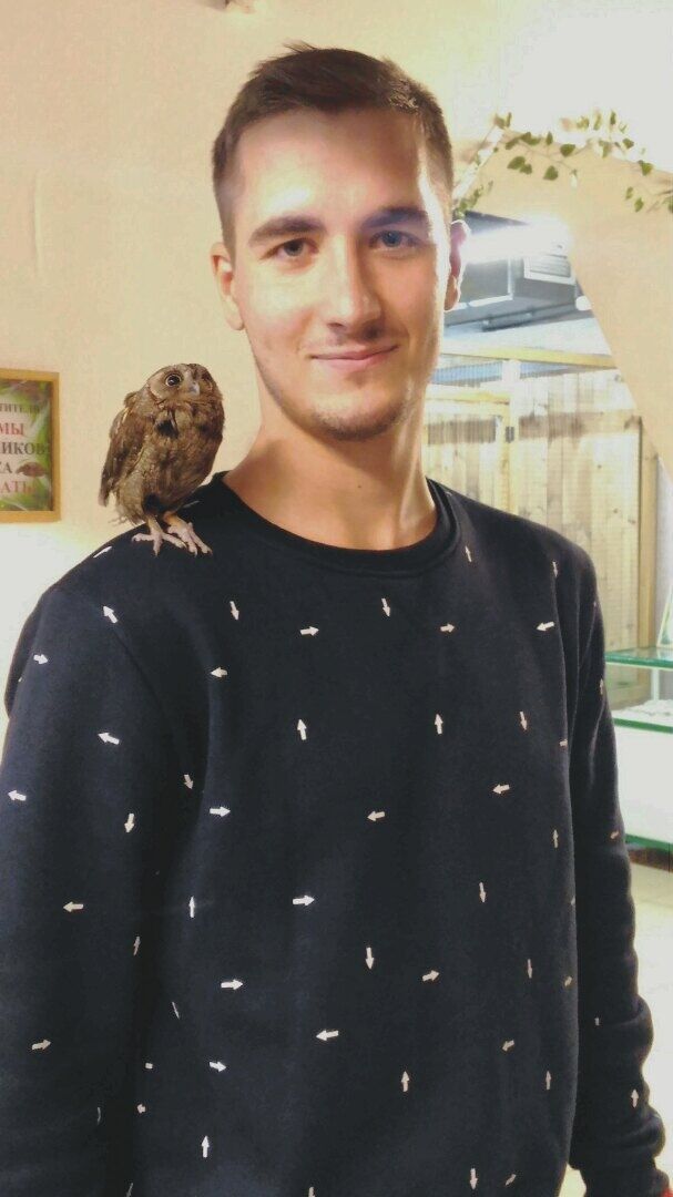 ���������� ���������, ���� ������� ������, 28 ���, ������������ ��� ������, ����� � ���������, c�������� ���������