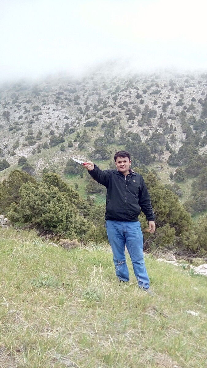  7389353  Hamid, 42 ,    