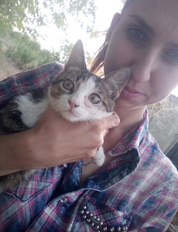 ���� 55400863 ������� Sweet_Tooth, 26 ���, ���� ���������� � ������