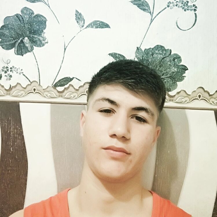  39510183  , 20 ,    