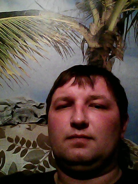  ,   , 41 ,   