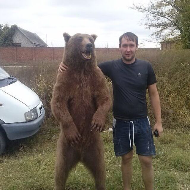 ���� 55718843 ������� �������, 38 ���, ���� ���������� � ����������