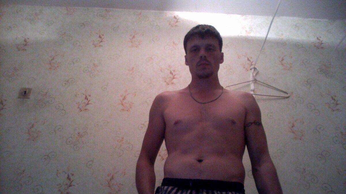  7816343  , 36 ,    -