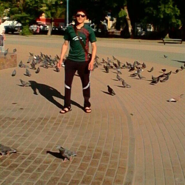 49613903  Dima, 27 ,    
