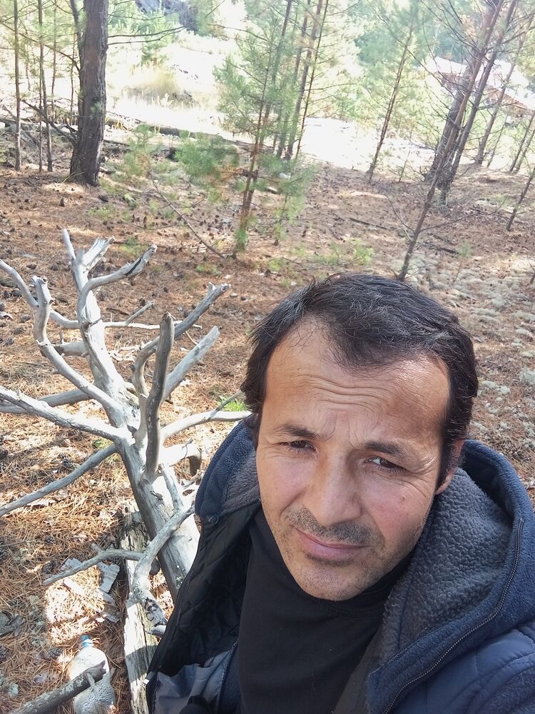 ���������� ����������, ���� ������� ���, 38 ���, ������������ ��� ������, ����� � ���������