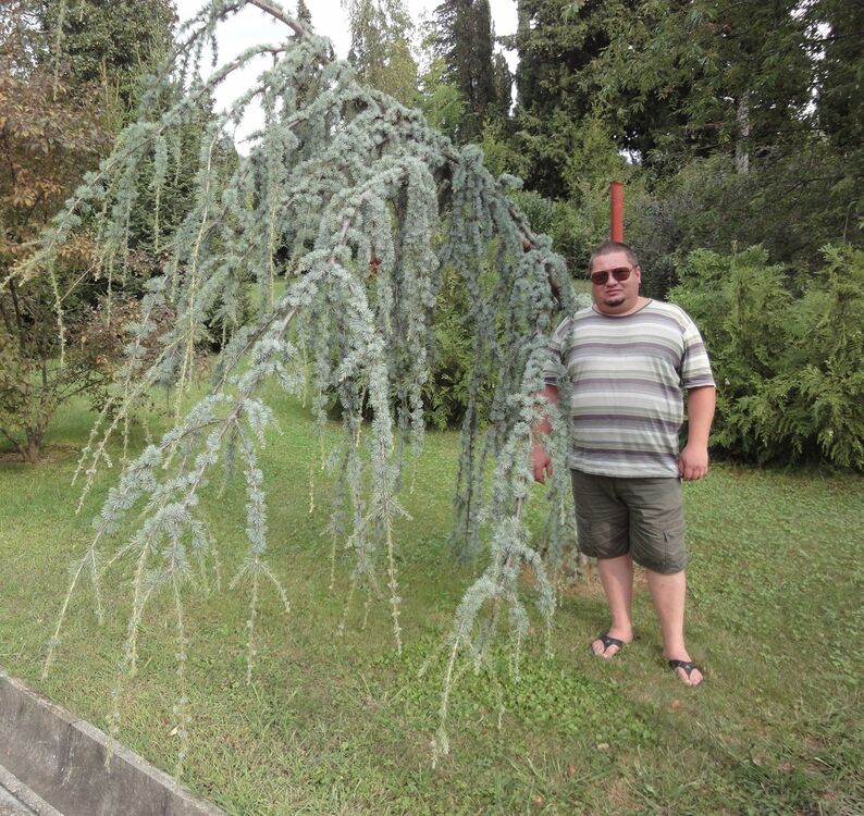  ,   , 50 ,     , c 