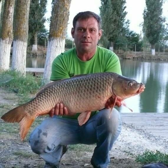 ���������� �����������, ���� ������� �������, 55 ���, ������������ ��� ������, ����� � ���������, c�������� ���������