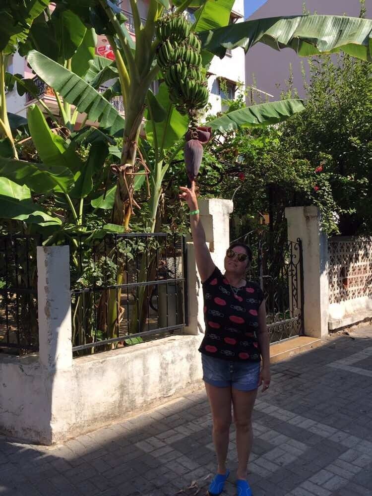 ���������� ������, ���� ������� �������, 47 ���, ������������ ��� ������, ����� � ���������, c�������� ���������