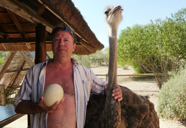 ���� 55105653 ������� ���������, 68 ���, ���� ���������� � ������