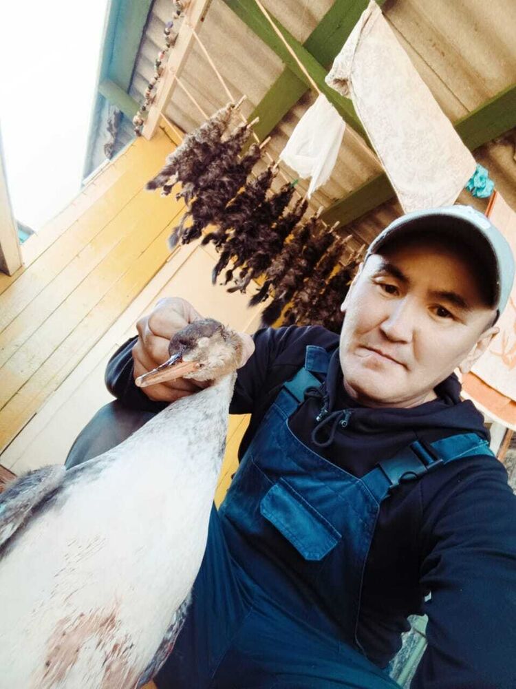 ���� 55483853 ������� �������, 43 ����, ���� ���������� � ��������