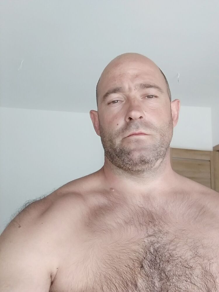  28497373  , 40 ,    