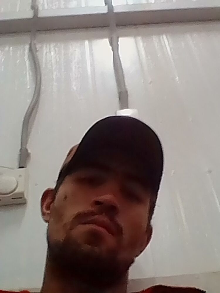  17343853  , 34 ,    -