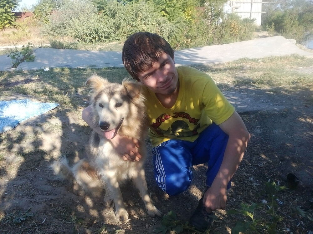  10908773  , 33 ,    