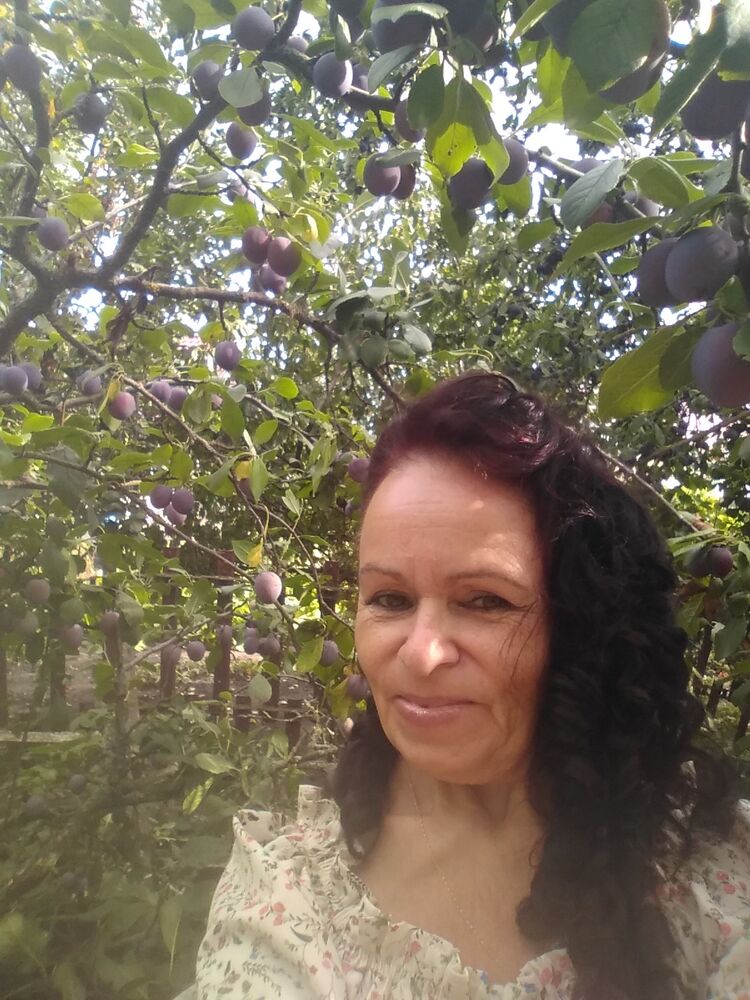 ���� 55647223 ������� ������, 60 ���, ���� ���������� � ��������