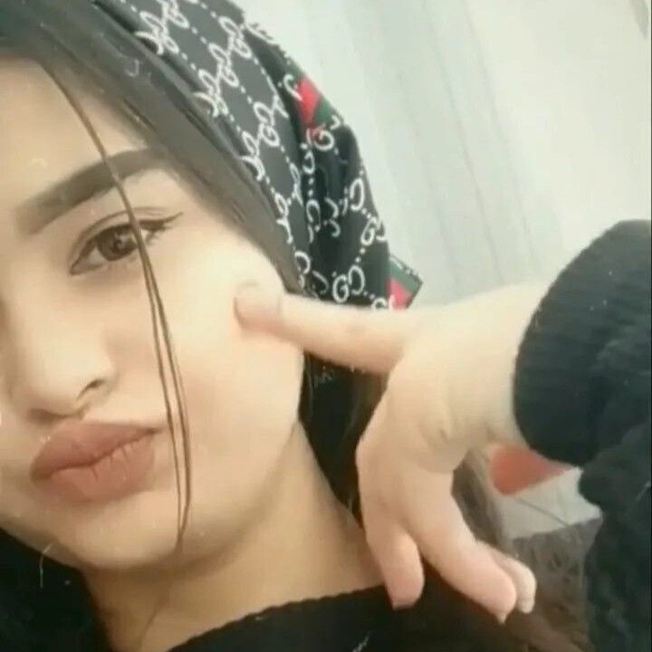  53092743  , 25 ,    