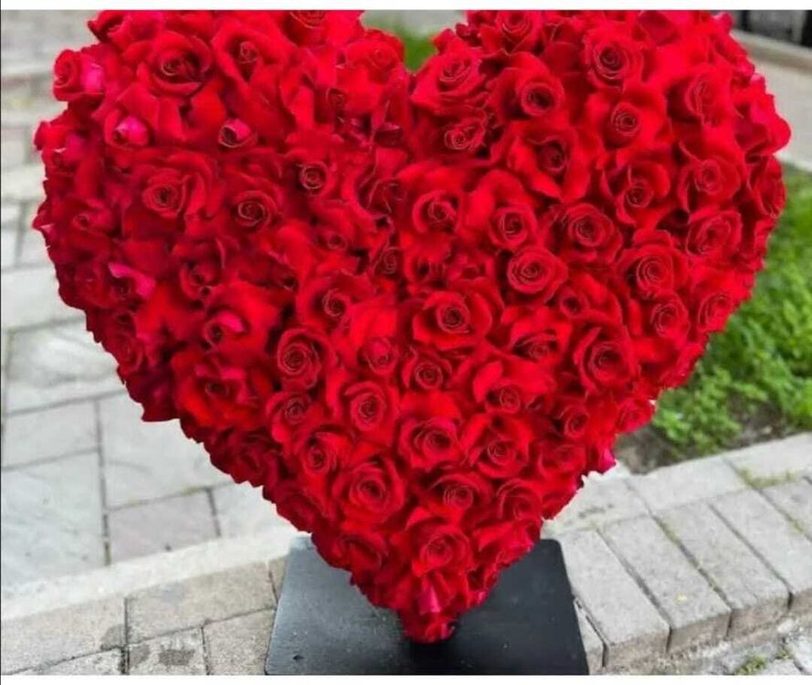 ���� 24628543 ������� �����, 60 ���, ���� ���������� � ����������