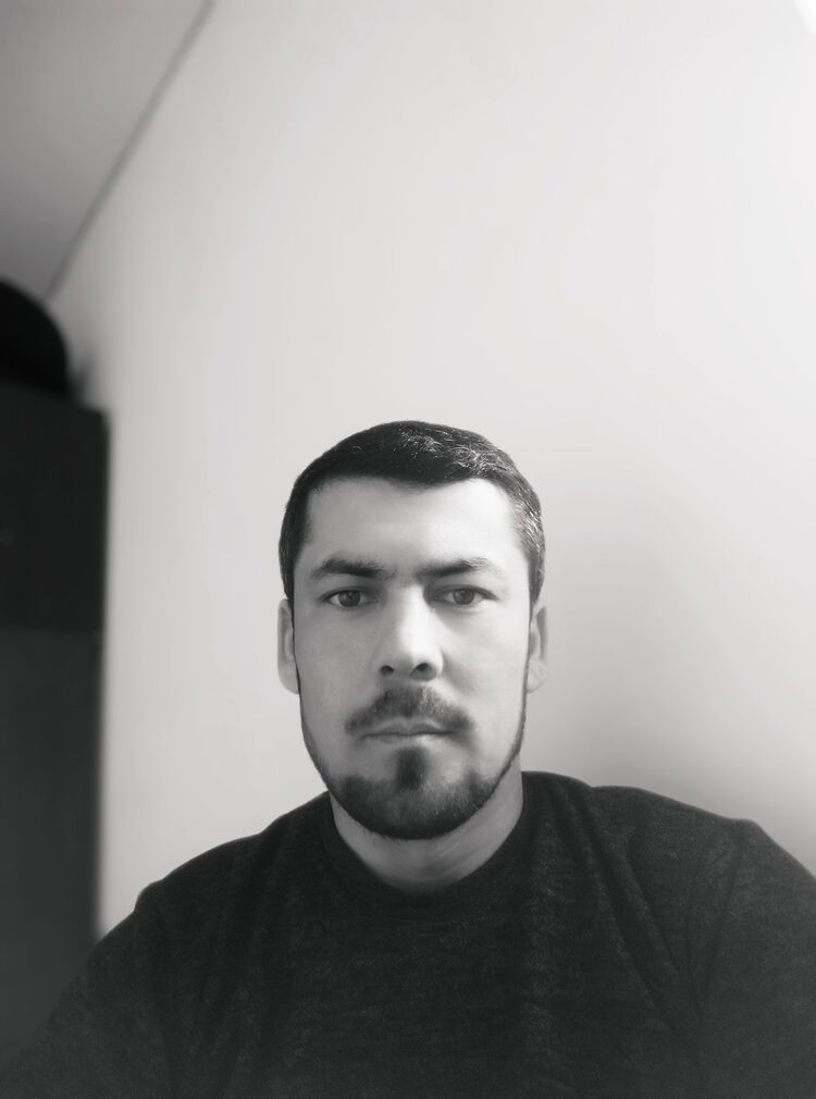 ���� 33067103 ������� �����, 33 ����, ���� ���������� � ���������