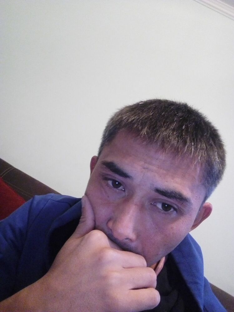  24645163  , 36 ,    
