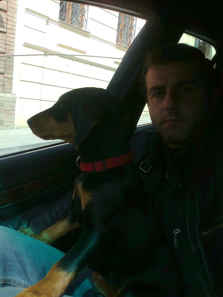 ���� 4035163 ������� Davit, 42 ����, ���� ���������� � �������