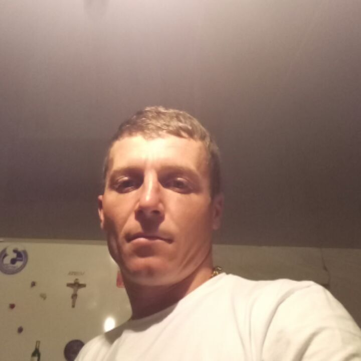  13381493  , 39 ,    