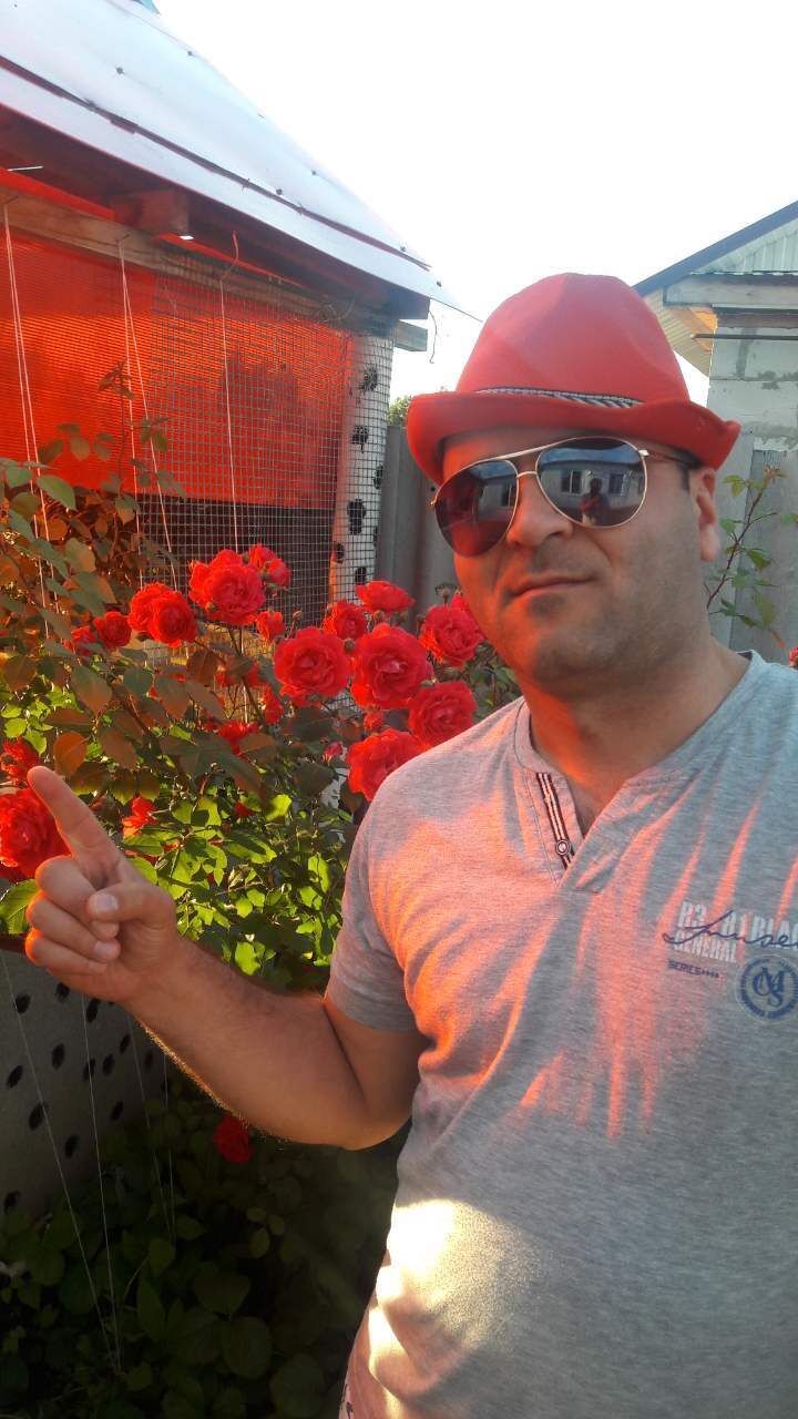  ,   , 43 ,   ,   