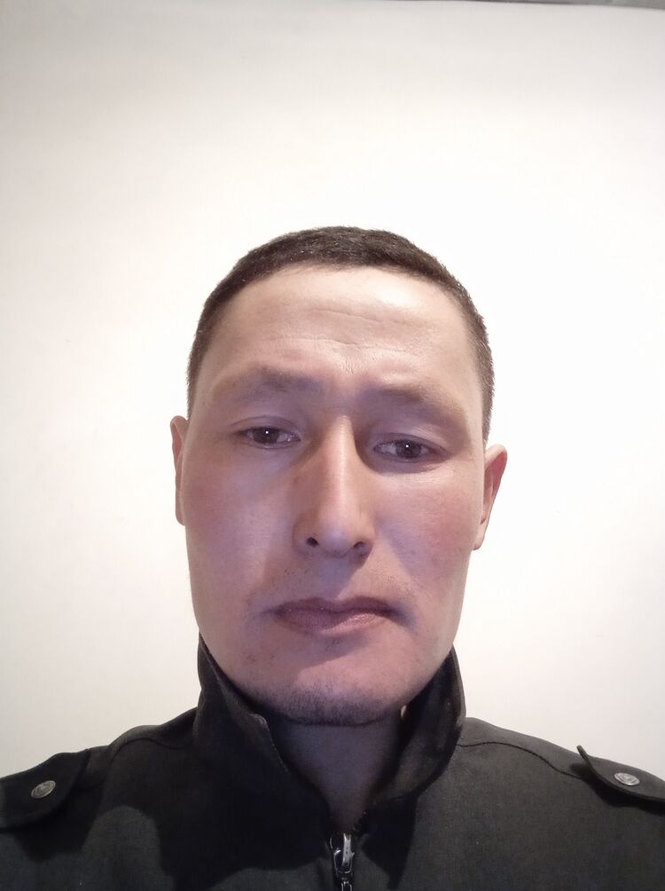  28178043  , 38 ,    