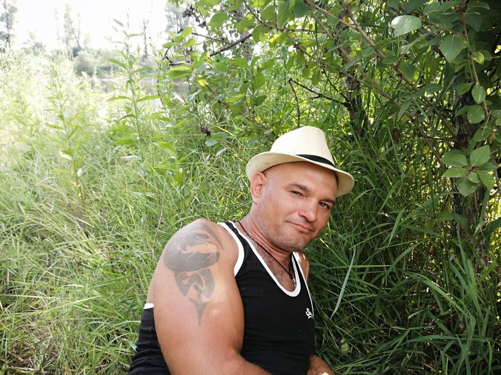 ���� 33850803 ������� ����, 42 ����, ���� ���������� � �����������