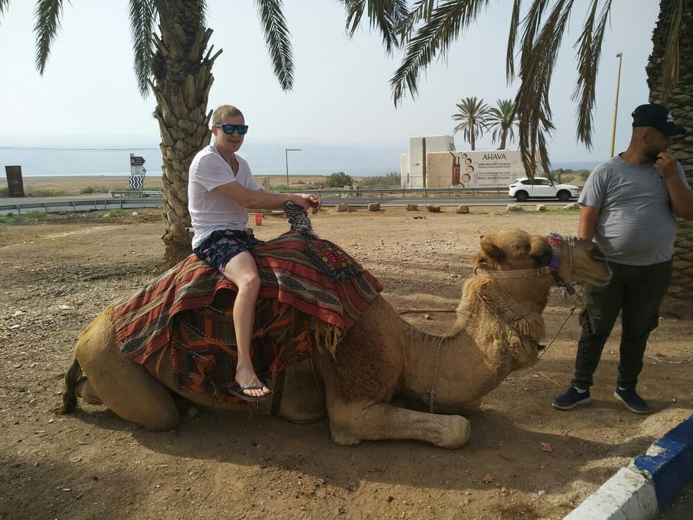 ���������� ����, ���� ������� �����, 36 ���, ������������ ��� ������, ����� � ���������