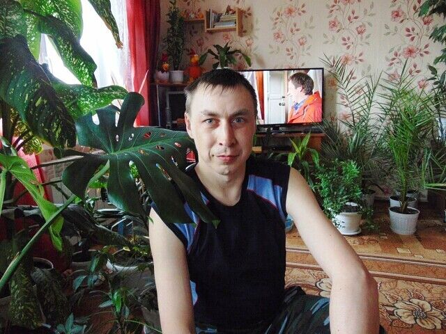  ,   , 41 ,   ,   