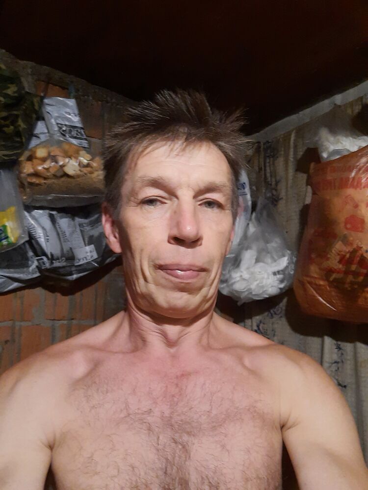  23307653  , 55 ,    -