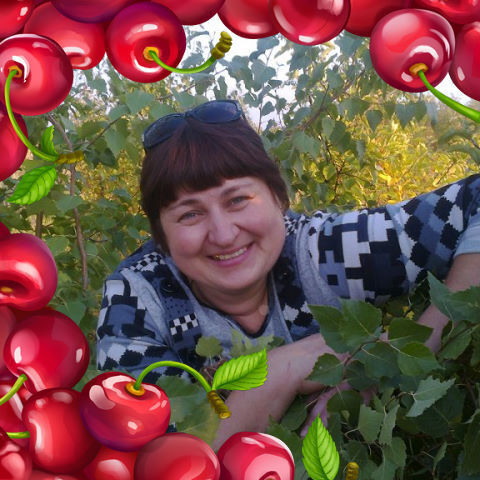 ���� 11458803 ������� �����, 50 ���, ���� ���������� � ������