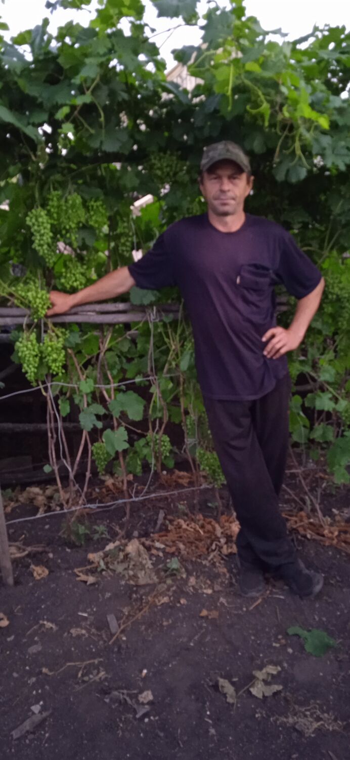 ���� 44454103 ������� ������, 47 ���, ���� ���������� � ������