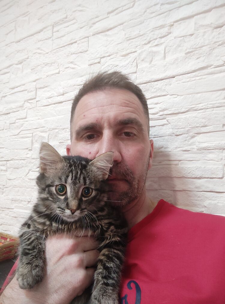 ���������� �����������, ���� ������� ������, 45 ���, ������������ ��� ����� � ���������, c�������� ���������