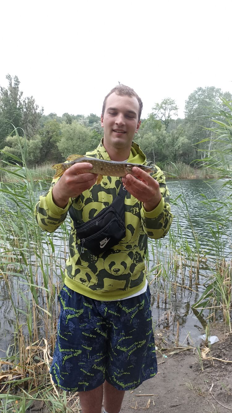 ���� 55989043 ����� ������, 22 ����, ���� ���������� � �������-�������������