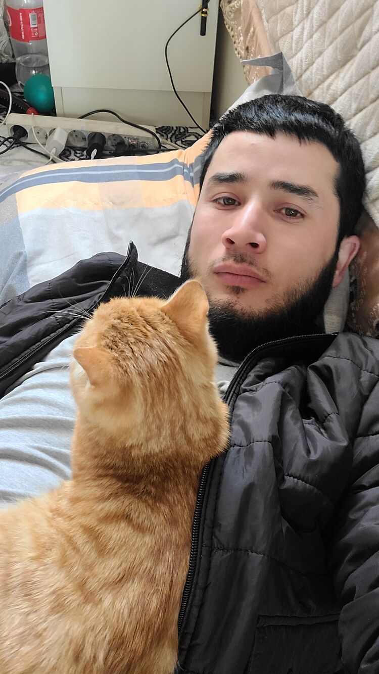  ,   , 29 ,   ,   