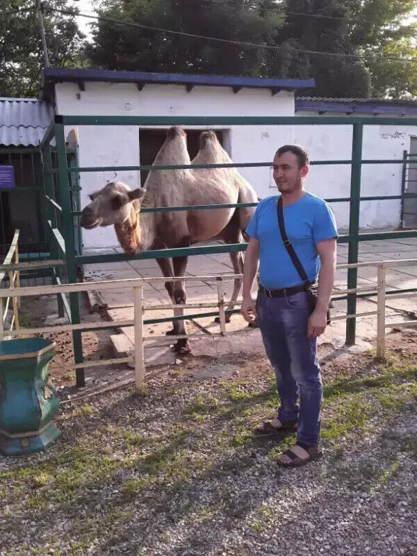 ���� 20477533 ������� ����, 35 ���, ���� ���������� � �����������